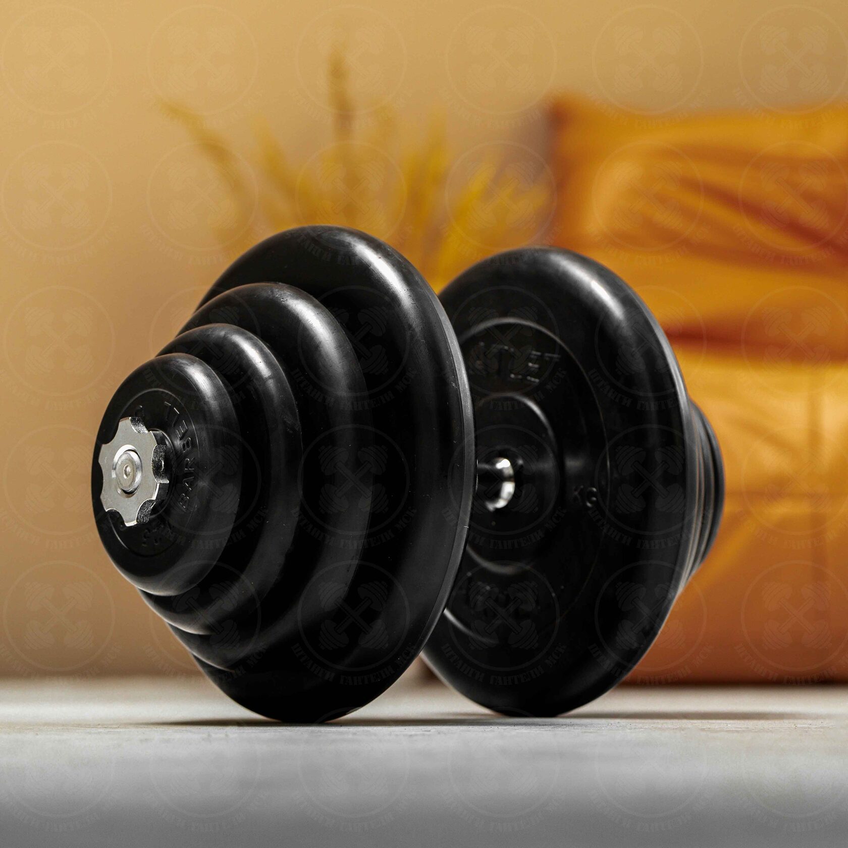 Гантель разборная 40 кг Barbell c необрезиненным грифом